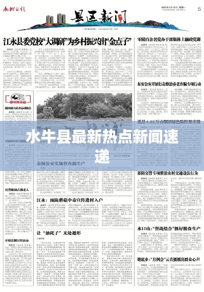 忠心耿耿