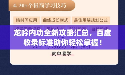 龍吟內(nèi)功全新攻略匯總，百度收錄標準助你輕松掌握！