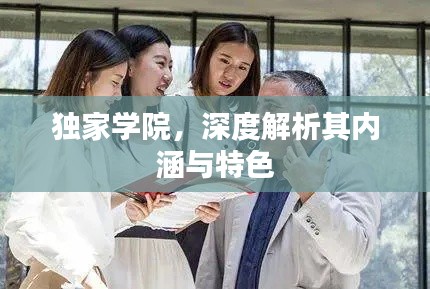 獨(dú)家學(xué)院，深度解析其內(nèi)涵與特色