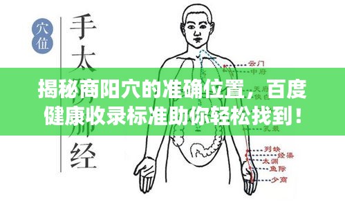 揭秘商陽穴的準(zhǔn)確位置，百度健康收錄標(biāo)準(zhǔn)助你輕松找到！