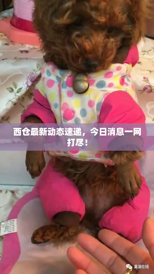 一席之地