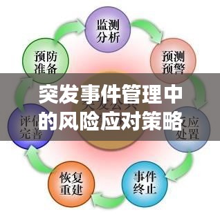 突發(fā)事件管理中的風(fēng)險(xiǎn)應(yīng)對(duì)策略，全面解析風(fēng)險(xiǎn)與應(yīng)對(duì)策略之道