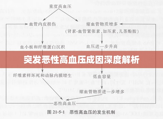 突發(fā)惡性高血壓成因深度解析