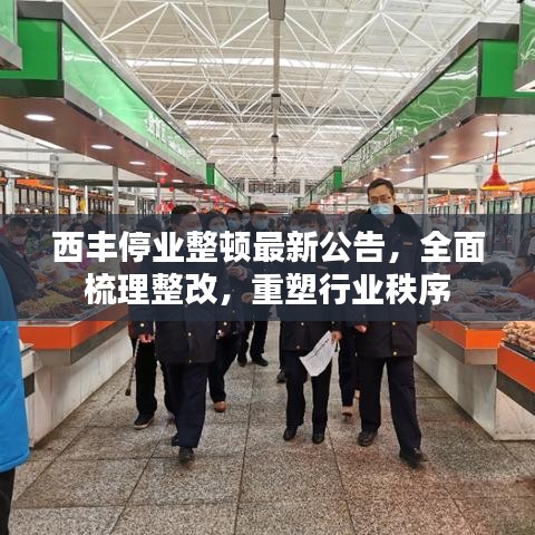 西豐停業(yè)整頓最新公告，全面梳理整改，重塑行業(yè)秩序