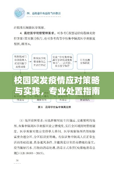 校園突發(fā)疫情應(yīng)對策略與實(shí)踐，專業(yè)處置指南