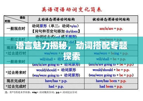 語(yǔ)言魅力揭秘，動(dòng)詞搭配專題探索