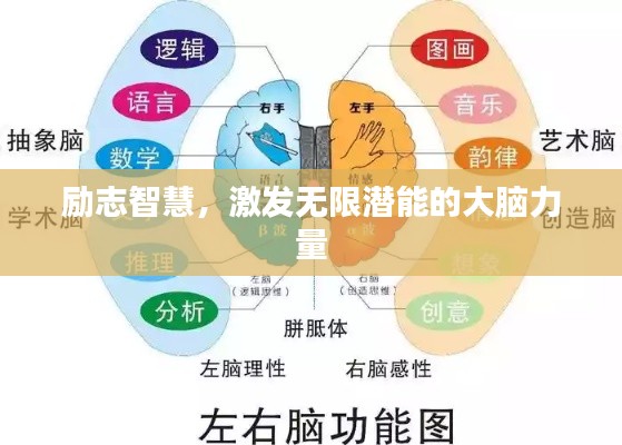 勵志智慧，激發(fā)無限潛能的大腦力量