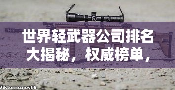世界輕武器公司排名大揭秘，權(quán)威榜單，引領(lǐng)行業(yè)風(fēng)向標(biāo)！