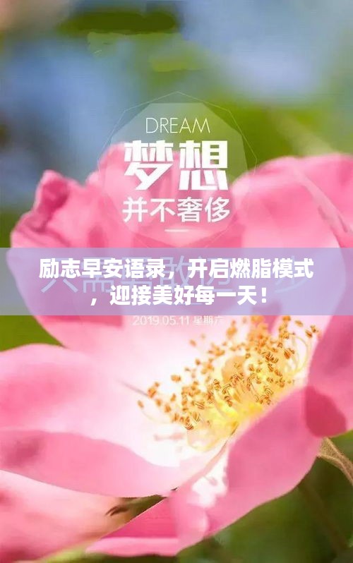 勵(lì)志早安語(yǔ)錄，開(kāi)啟燃脂模式，迎接美好每一天！