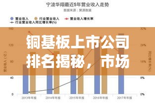 六鹢退飛