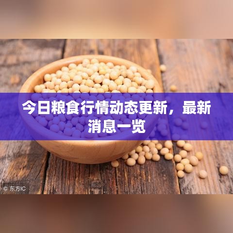 今日糧食行情動(dòng)態(tài)更新，最新消息一覽