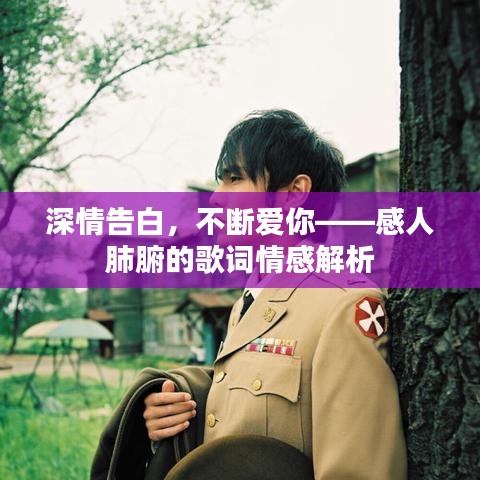 深情告白，不斷愛你——感人肺腑的歌詞情感解析