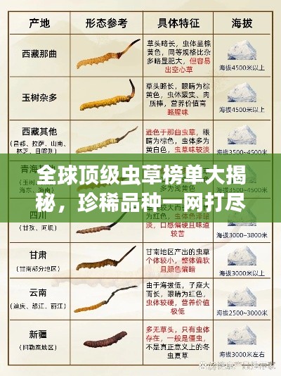 全球頂級蟲草榜單大揭秘，珍稀品種一網(wǎng)打盡！