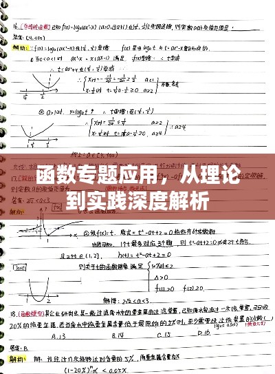 函數專題應用，從理論到實踐深度解析