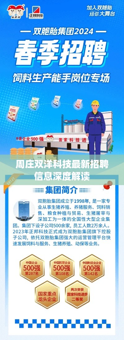周莊雙洋科技最新招聘信息深度解讀