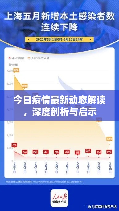 今日疫情最新動態(tài)解讀，深度剖析與啟示